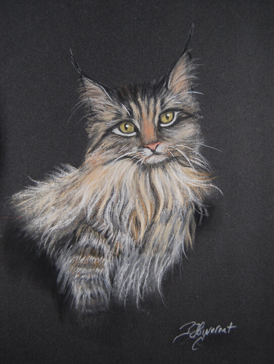 Dibujo titulada "le chat maine coon…" por Patricia Hyvernat, Obra de arte original, Pastel