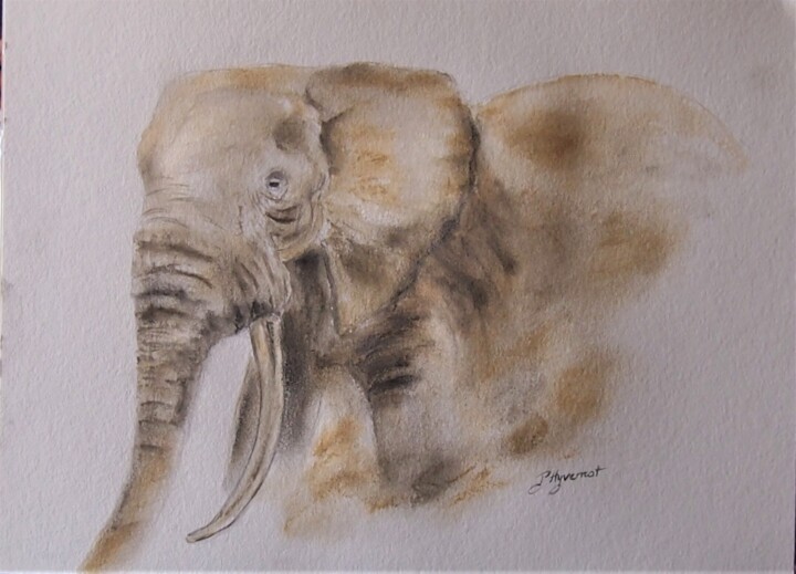 Drawing titled "elephant  - étude d…" by Patricia Hyvernat, Original Artwork, Chalk