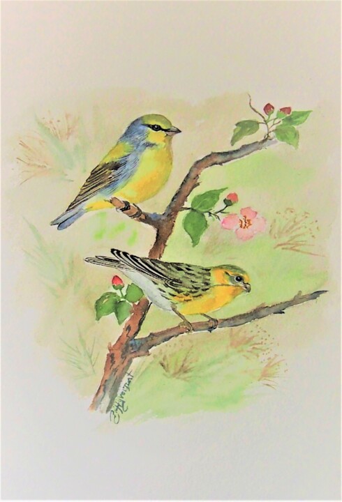 Peinture intitulée "serins  -oiseaux- a…" par Patricia Hyvernat, Œuvre d'art originale, Aquarelle