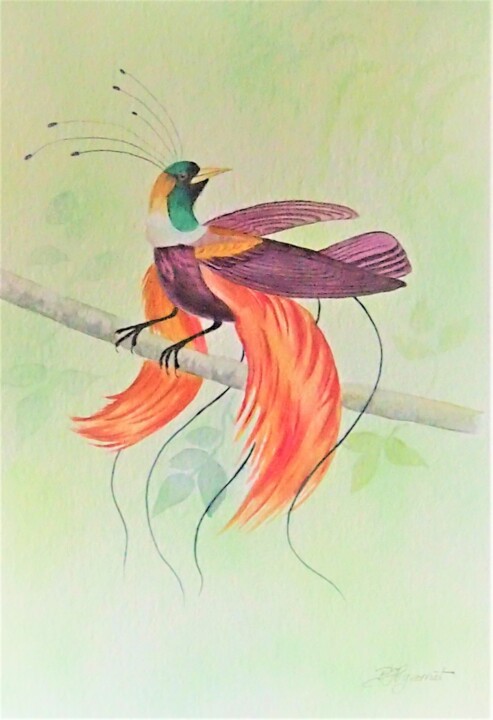 Pittura intitolato "oiseaux de paradis…" da Patricia Hyvernat, Opera d'arte originale, Acquarello