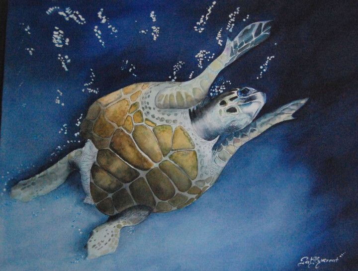 Painting titled "tortue marine - aqu…" by Patricia Hyvernat, Original Artwork, Watercolor