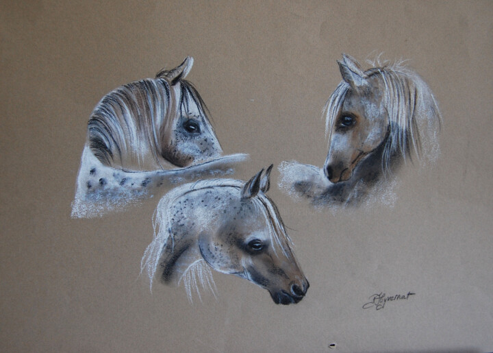 Drawing titled "etude de chevaux ap…" by Patricia Hyvernat, Original Artwork, Chalk