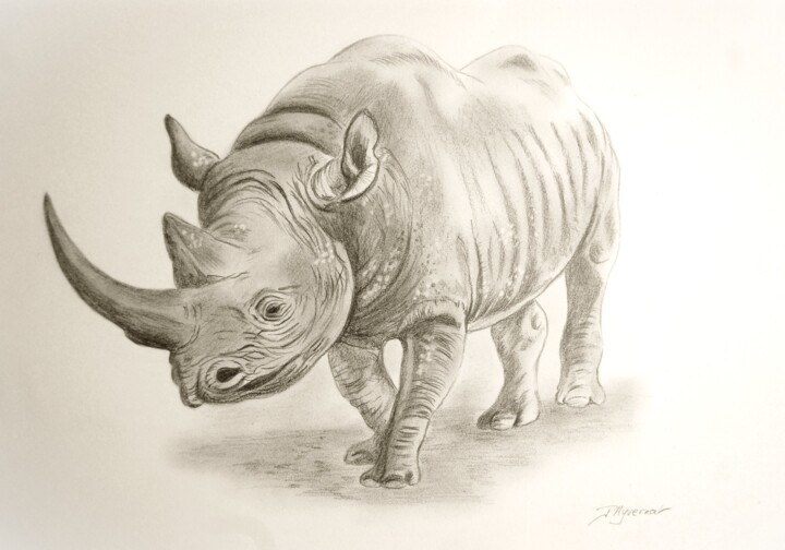 Drawing titled "rhinocéros Afrique…" by Patricia Hyvernat, Original Artwork, Graphite