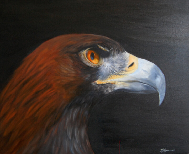 Painting titled ""Falco"  aigle roya…" by Patricia Hyvernat, Original Artwork, Oil Mounted on Wood Stretcher frame