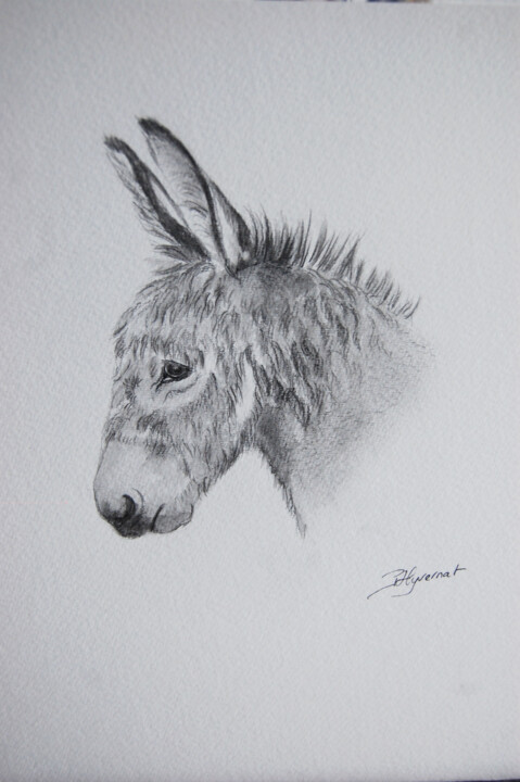 Drawing titled "l'anon - dessin cra…" by Patricia Hyvernat, Original Artwork, Pencil