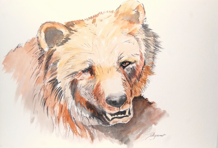 Drawing titled "ours brun - dessin…" by Patricia Hyvernat, Original Artwork, Ink