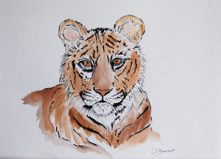 Drawing titled "jeune tigre - dessi…" by Patricia Hyvernat, Original Artwork, Ink