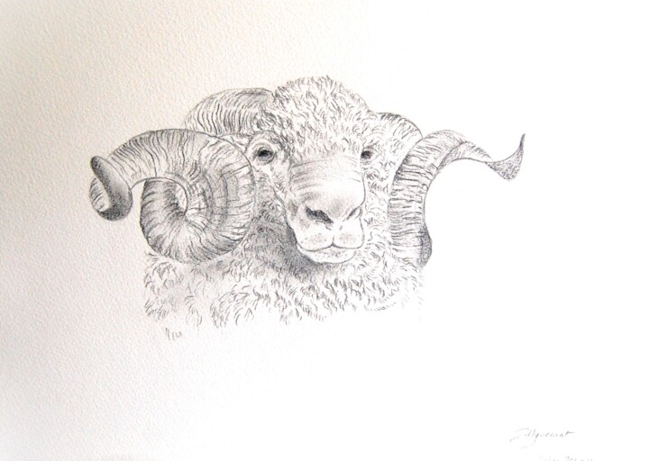 Disegno intitolato "mouton merinos - de…" da Patricia Hyvernat, Opera d'arte originale, Grafite
