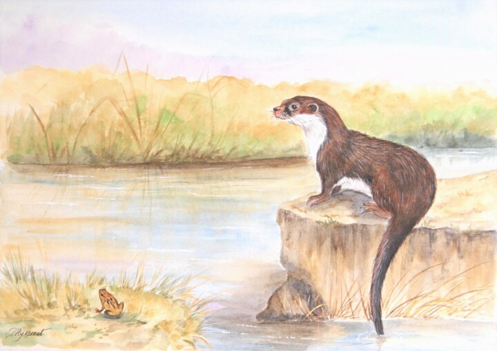 Painting titled "loutre  - aquarelle…" by Patricia Hyvernat, Original Artwork, Watercolor
