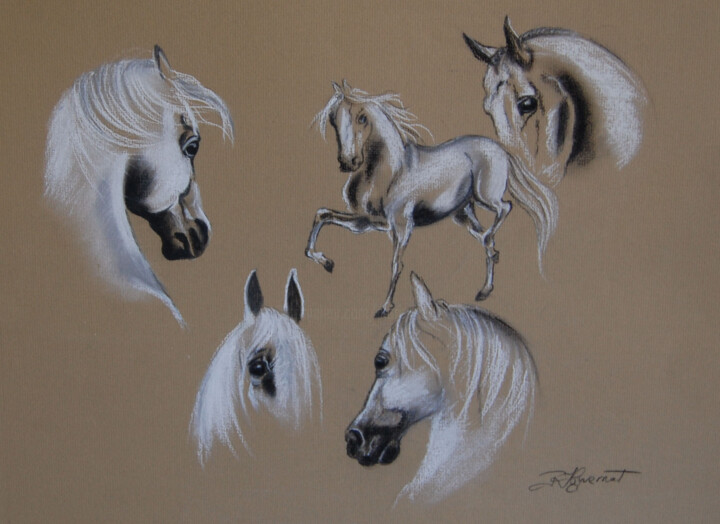 Zeichnungen mit dem Titel "etude chevaux  -  p…" von Patricia Hyvernat, Original-Kunstwerk, Kreide