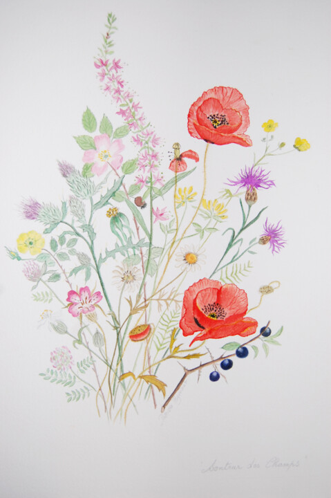 Fleurs Des Champs- Aquarelle Originale S, Peinture par Patricia Hyvernat |  Artmajeur