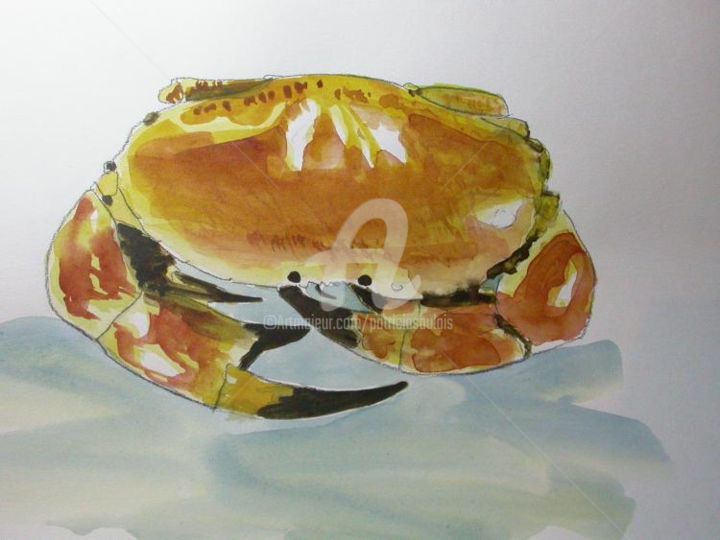 Pintura intitulada "crabe a l'aquarelle…" por Patricia Saulais, Obras de arte originais