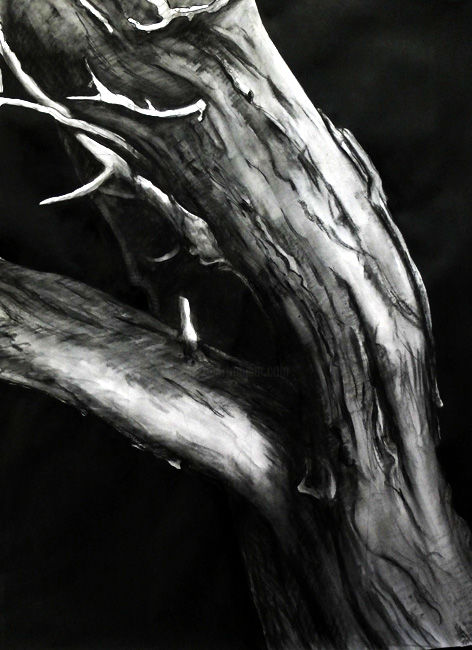 Painting titled "arbre-4.jpg" by Patrick Geminel, Original Artwork