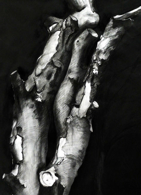 Painting titled "arbre-5.jpg" by Patrick Geminel, Original Artwork