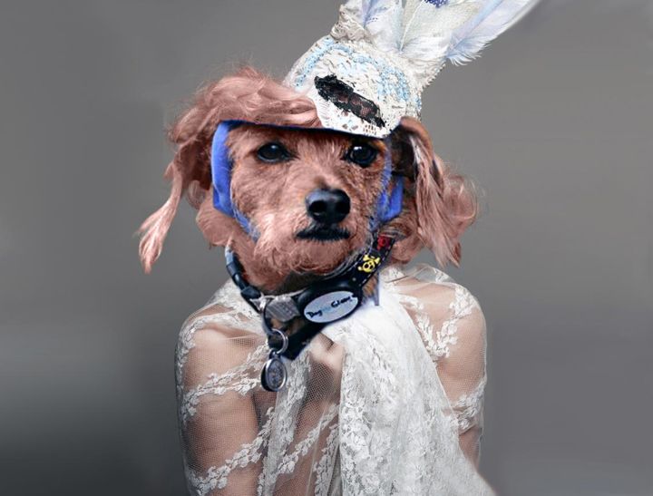 Arts numériques intitulée "Dog in disguise" par Patrick Joosten, Œuvre d'art originale, Photo montage