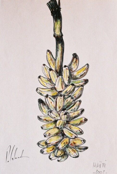 Drawing titled "régime de bananes" by Patrick Lalande, Original Artwork