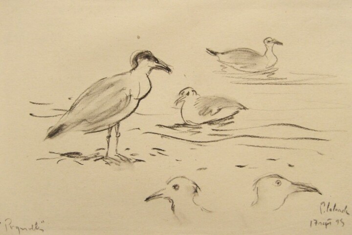 Drawing titled "les mouettes" by Patrick Lalande, Original Artwork, Other