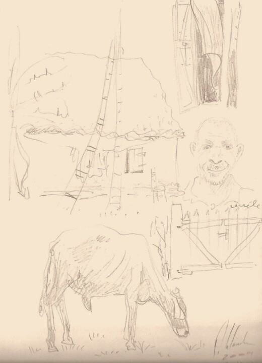 Dessin intitulée "portrait de céreel…" par Patrick Lalande, Œuvre d'art originale, Crayon