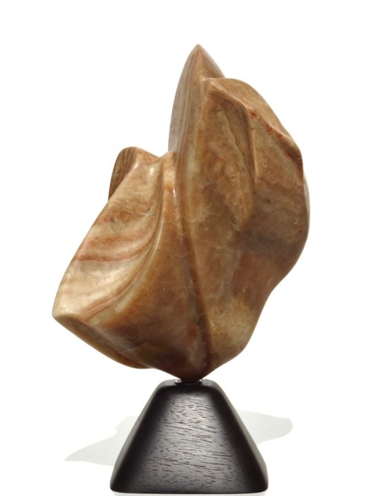 雕塑 标题为“ARIZONA” 由Patrick Guino, 原创艺术品, 石