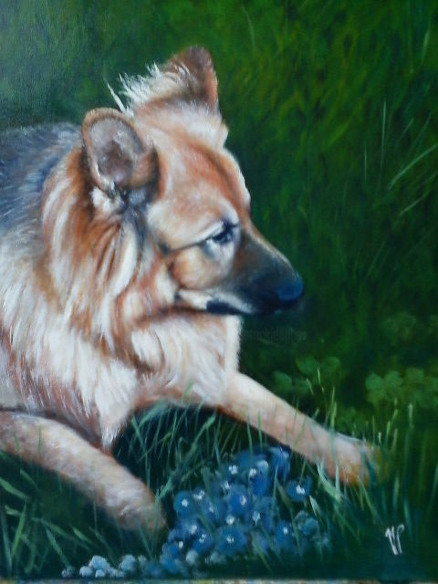 Painting titled "Portrait d'un chien…" by Patrick Nevoso, Original Artwork, Oil