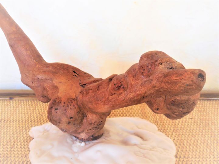 Sculpture intitulée "Canidinosaurus-" par Patrick Nevoso, Œuvre d'art originale, Bois
