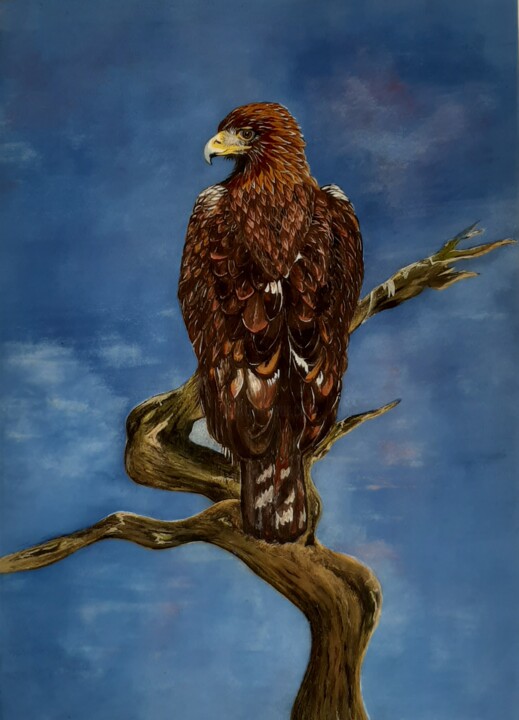 Painting titled "Aigle 1" by Patrizia Pic, Original Artwork, Watercolor Mounted on Other rigid panel