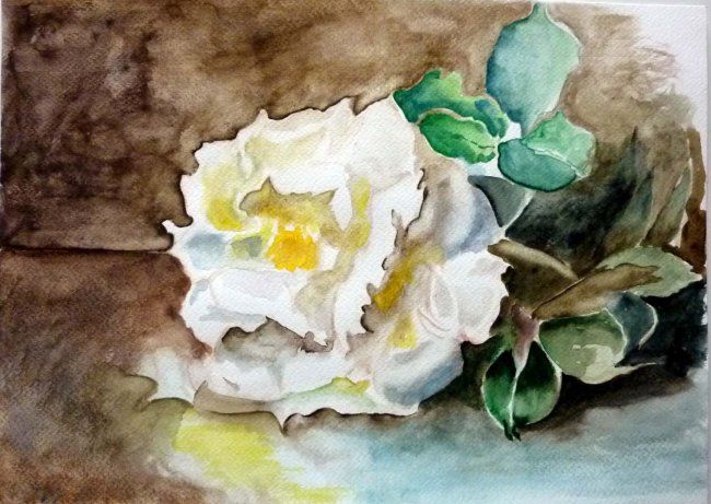 Peinture intitulée "Rose blanche d'aprè…" par Chris, Œuvre d'art originale, Huile