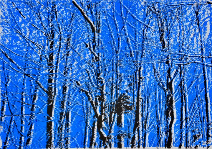 Printmaking titled "Winterwald I" by Paul Jaklin, Original Artwork, Analog Print