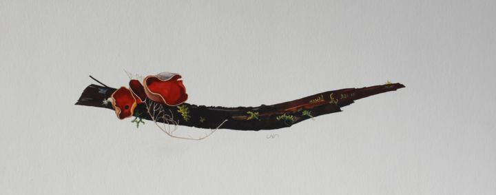 Dessin intitulée "Crête de coq 2" par Paul Natter, Œuvre d'art originale, Aquarelle