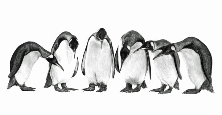 Drawing titled "Penguin Conference" by Paul Stowe, Original Artwork, Graphite