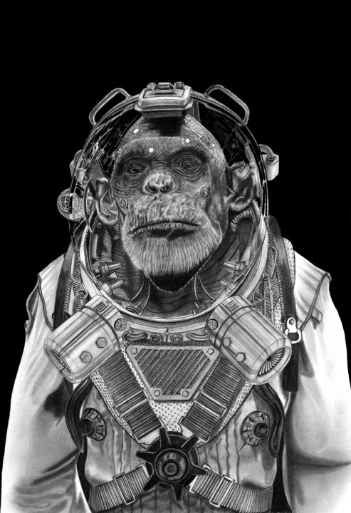 图画 标题为“Space Chimp” 由Paul Stowe, 原创艺术品, 石墨