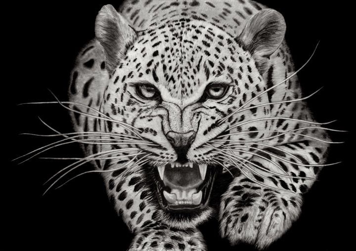 Drawing titled "Leopard Attack" by Paul Stowe, Original Artwork, Graphite