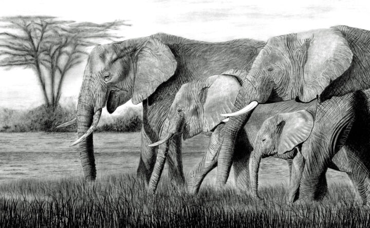 Tekening getiteld "Elephants on the Ma…" door Paul Stowe, Origineel Kunstwerk, Potlood