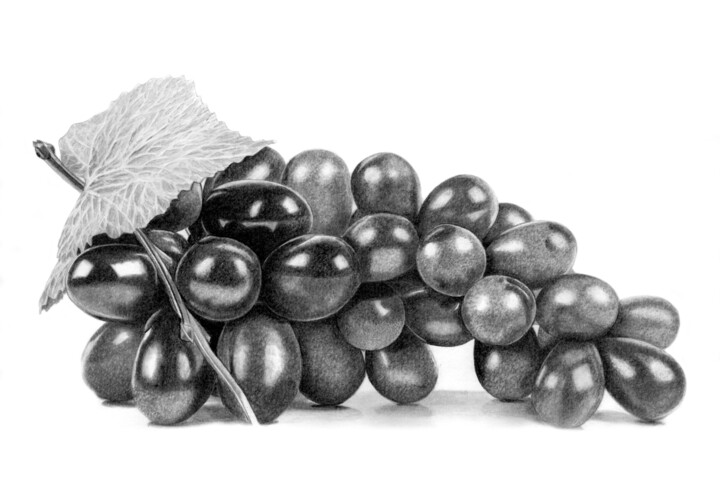 Dessin intitulée "Grapes" par Paul Stowe, Œuvre d'art originale, Crayon