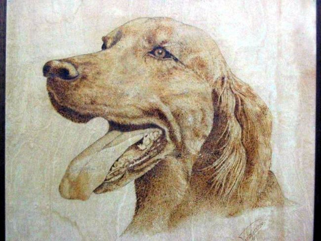 Desenho intitulada "perro" por Paula Aguirre, Obras de arte originais, Outro