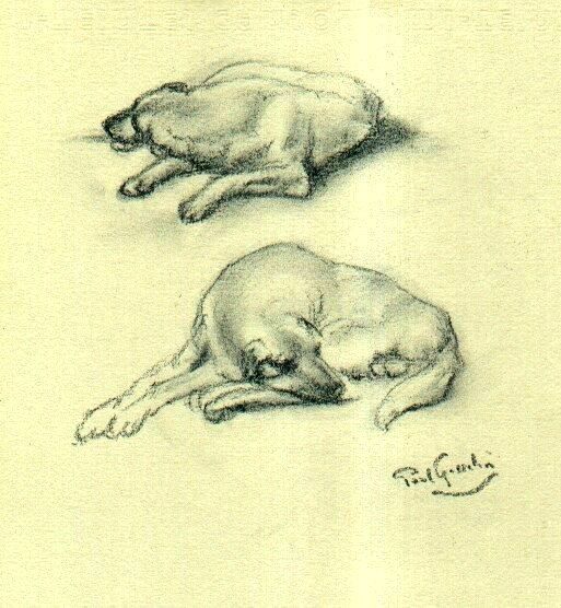 图画 标题为“Labrador” 由Paul Gosselin, 原创艺术品, 其他