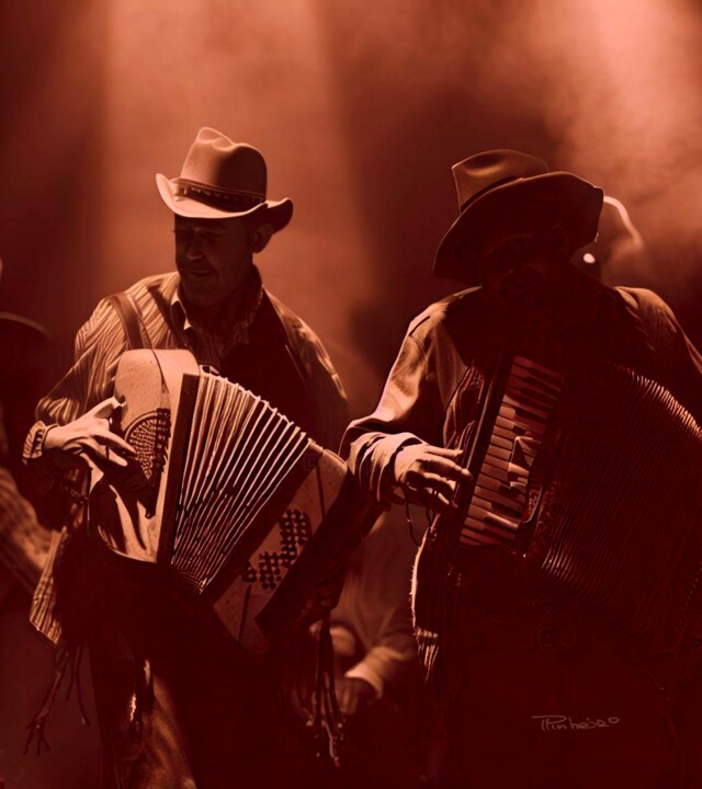 Digital Arts titled "Zydeco" by Paulo Pinheiro, Original Artwork, 2D Digital Work