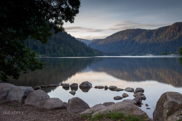 Fotografía titulada "Longemer le matin" por Paulo Viana, Obra de arte original, Fotografía digital Montado en Aluminio