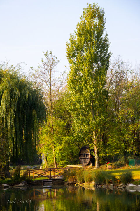 Fotografia intitolato "Blodelsheim bucoliq…" da Paulo Viana, Opera d'arte originale, Fotografia digitale