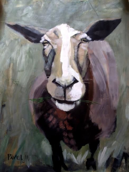 Painting titled "single sheep" by Paulus Hoffman, Original Artwork