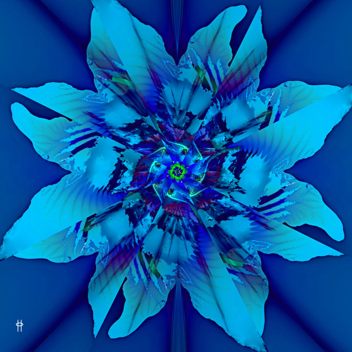 Digital Arts titled "Pale Blue Poinsettia" by Jim Pavelle, Original Artwork, 2D Digital Work