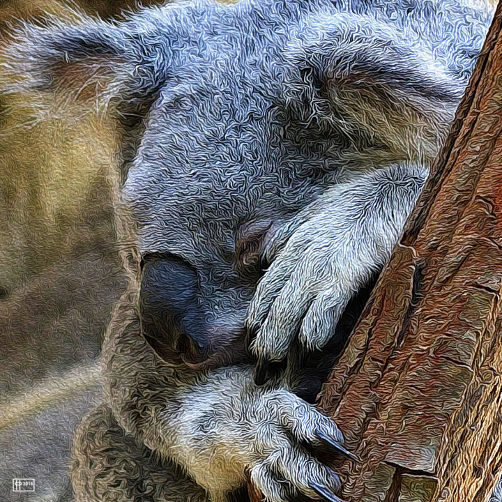 Digital Arts titled "Sleeping Koala" by Jim Pavelle, Original Artwork