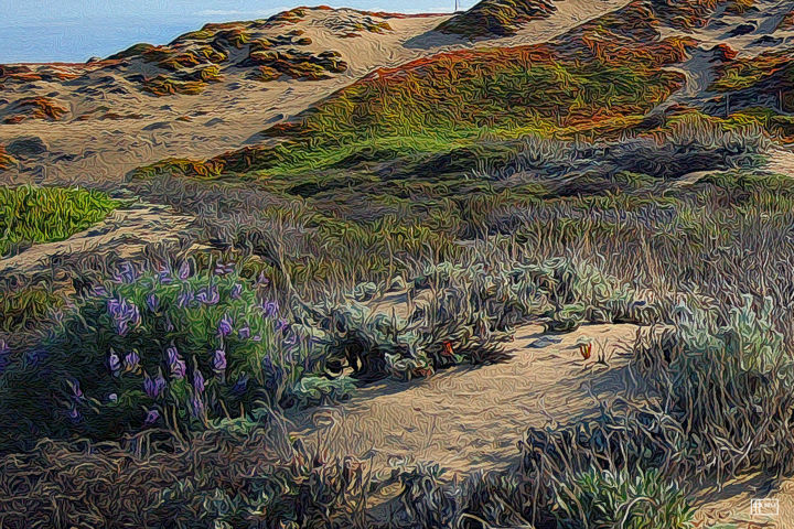 Digital Arts titled "Dune Life" by Jim Pavelle, Original Artwork