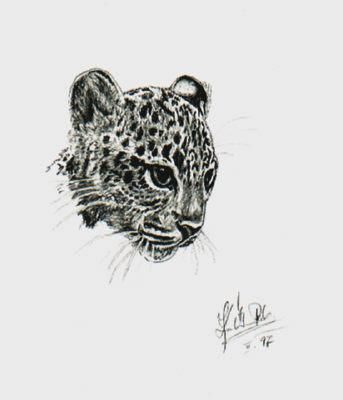 "Young Leopard" başlıklı Tablo Pavouk7 tarafından, Orijinal sanat, Petrol