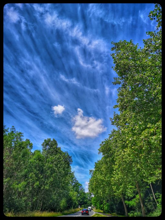 Fotografie mit dem Titel "Le ciel en haut de…" von Le Sage Coyote, Original-Kunstwerk, Digitale Fotografie