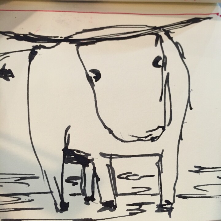 Disegno intitolato "Toro en trazo (Bull…" da Rodrigo Payró, Opera d'arte originale, Inchiostro