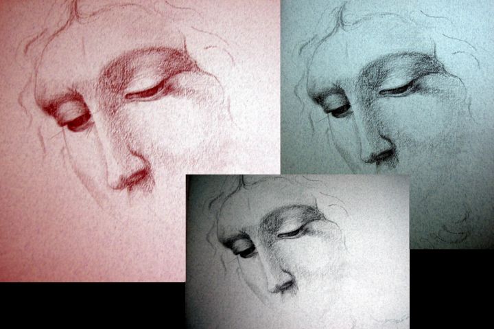 Disegno intitolato "studi da leonardo /…" da Paola Benni, Opera d'arte originale, Matita