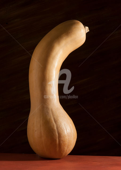 Photography titled "Courge butternut" by Pierre Boillon, Original Artwork, Digital Photography