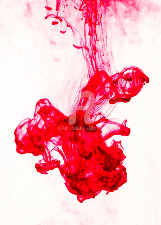 Photographie intitulée "Flamenco" par Pierre Boillon, Œuvre d'art originale, Photographie numérique Monté sur Plexiglas