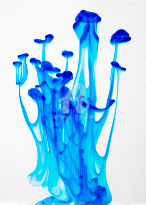 Photographie intitulée "Méduses bleues" par Pierre Boillon, Œuvre d'art originale, Photographie numérique